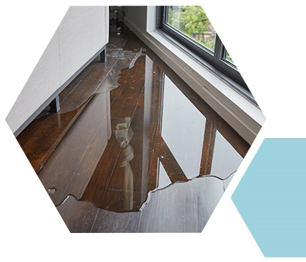 Water Damage Cleaning