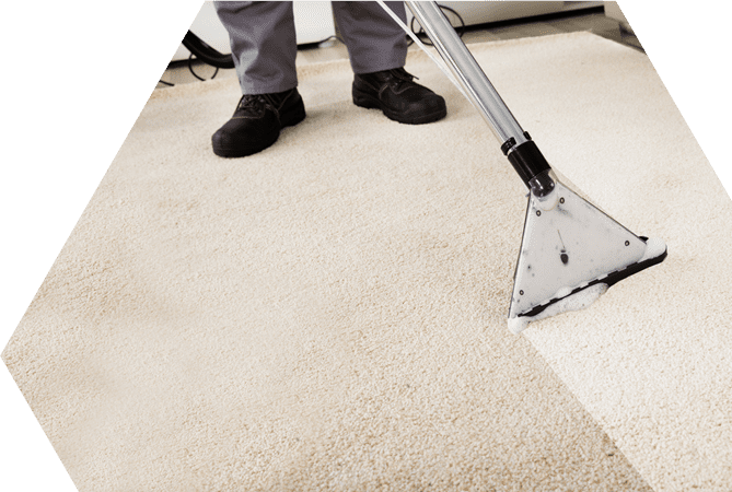 Ambassador USA Commercial Carpet Cleaning
